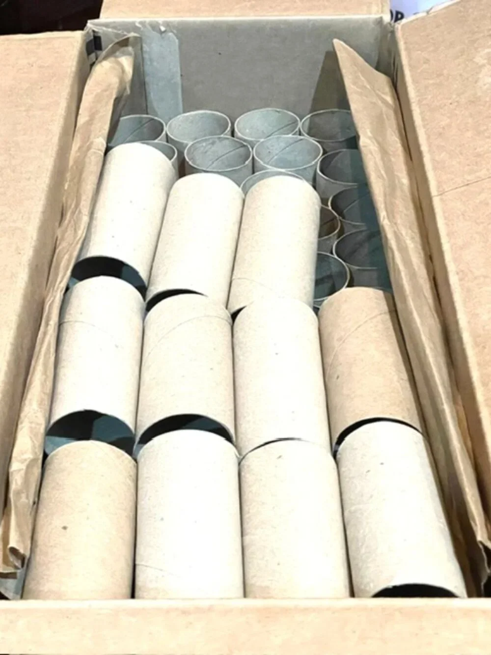 100 Toilet Paper Empty Rolls Cardboard Tubes Craft Art Project School Kid